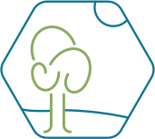 establishing planet-safe green technologies